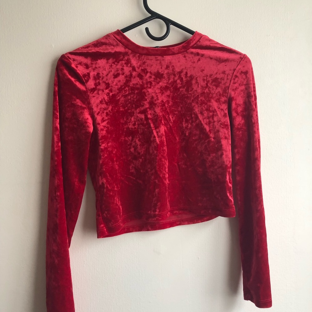 Suede Long Sleeve Crop Top